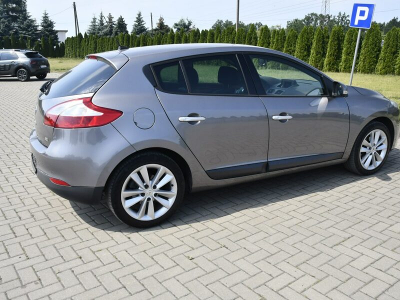 Renault Megane 1.9dci DUDKI11 Serwis,Navi.Skóry.Klimatr 2 str.Parktronic,kredyt.Okazj III (2008-2016)