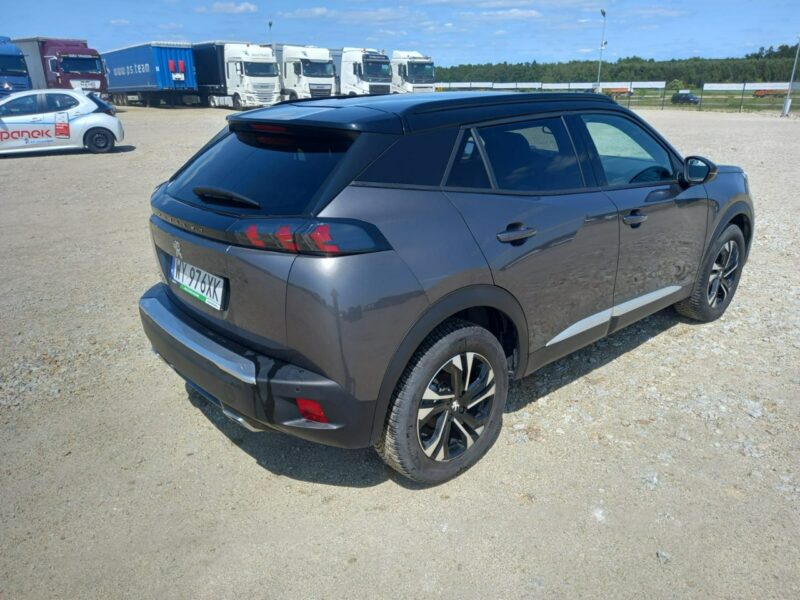 Peugeot 2008 II (2019-)