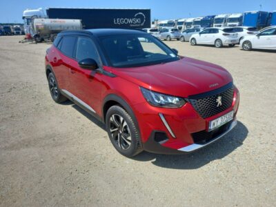 Peugeot 2008 II (2019-)