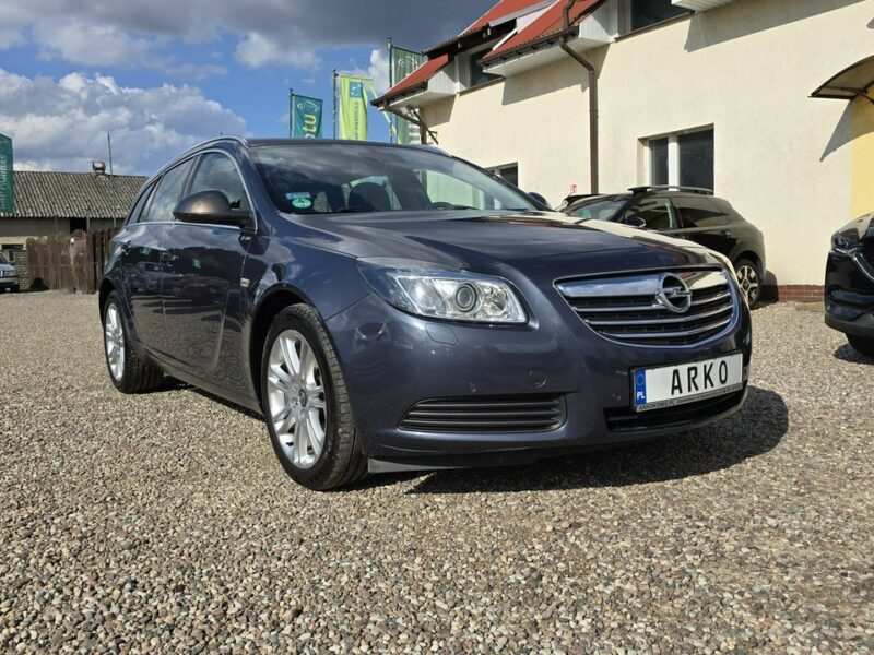 Opel Insignia Serwisowany A (2008-2017)
