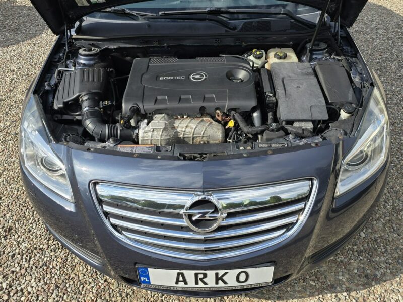 Opel Insignia Serwisowany A (2008-2017)
