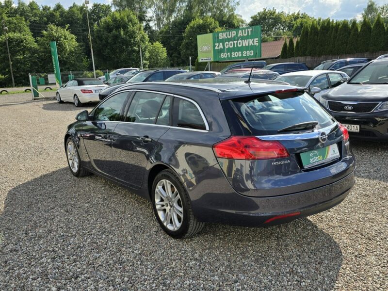 Opel Insignia Serwisowany A (2008-2017)