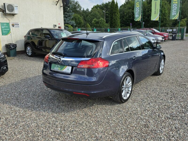 Opel Insignia Serwisowany A (2008-2017)