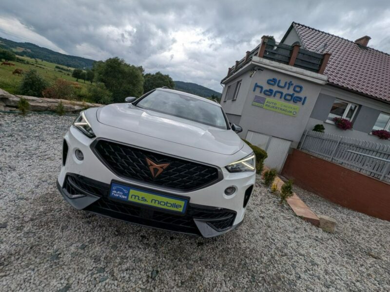 Cupra Formentor 310 KM, 4x4, ambiente
