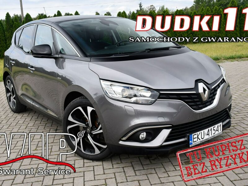 Renault Scenic 1,2Turbo Ledy.Navi.Hak.Kam.Cof.Tempomat.BOSE>Serwis.OKAZJA IV (2016-)