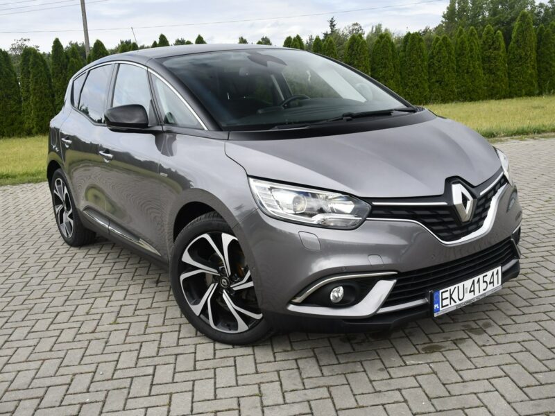 Renault Scenic 1,2Turbo Ledy.Navi.Hak.Kam.Cof.Tempomat.BOSE>Serwis.OKAZJA IV (2016-)