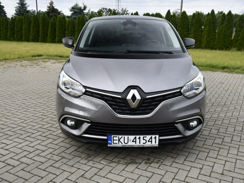 Renault Scenic 1,2Turbo Ledy.Navi.Hak.Kam.Cof.Tempomat.BOSE>Serwis.OKAZJA IV (2016-)