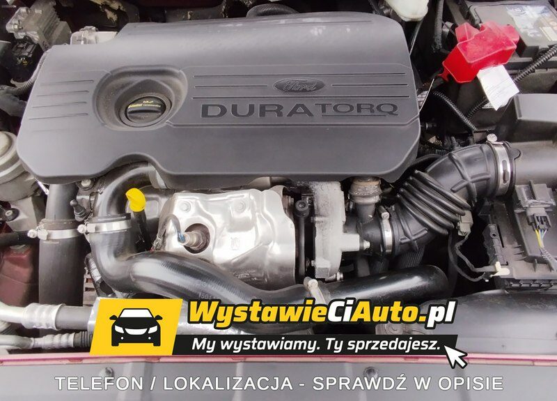 Ford Mondeo Telefon: 723644443 Lokalizacja: Żary Mk5 (2014-)