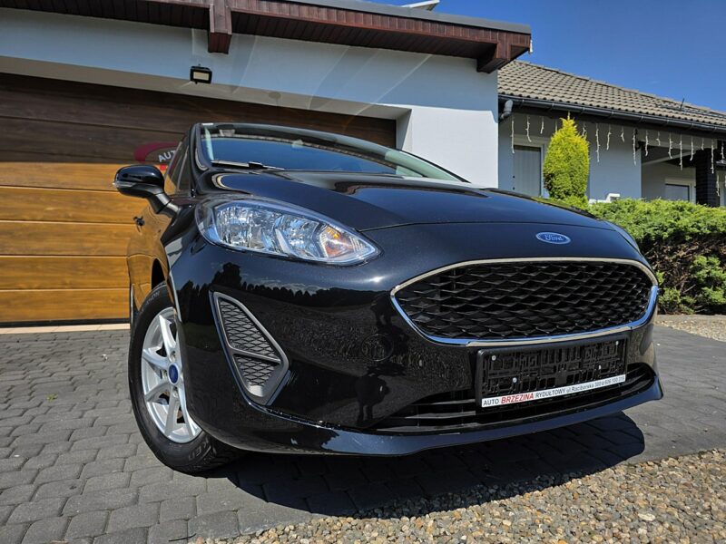 Ford Fiesta serwis ASO Mk8 (2017-)