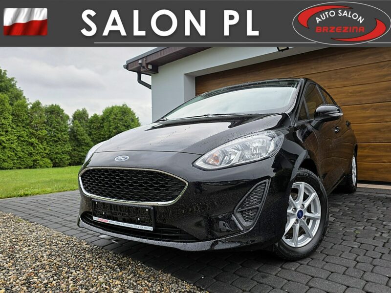 Ford Fiesta serwis ASO Mk8 (2017-)