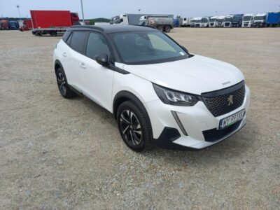 Peugeot 2008 II (2019-)