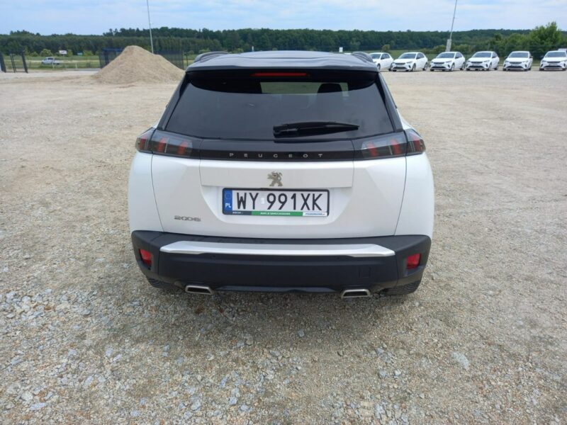 Peugeot 2008 II (2019-)