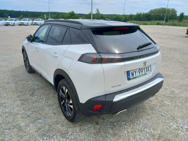 Peugeot 2008 II (2019-)
