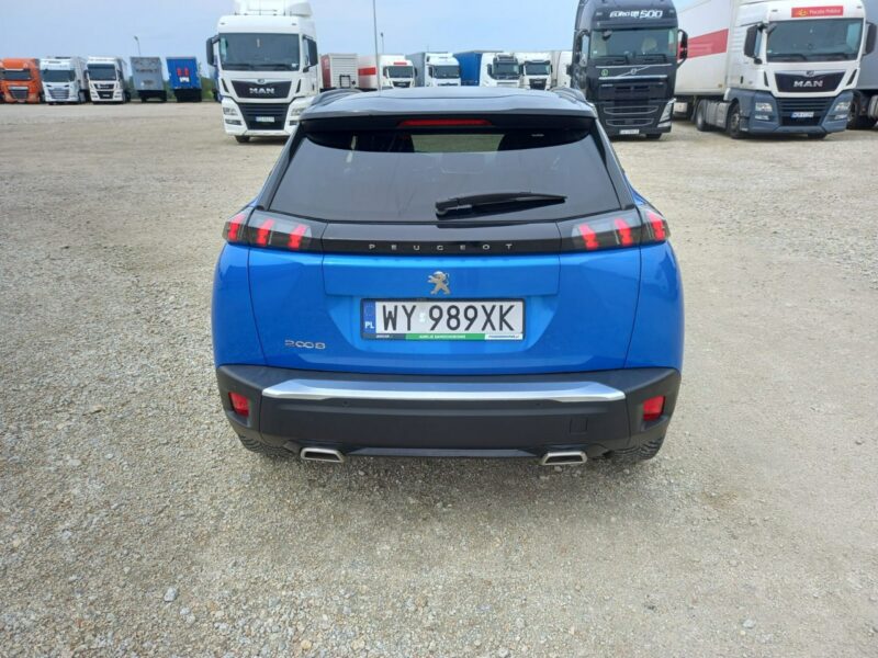 Peugeot 2008 II (2019-)