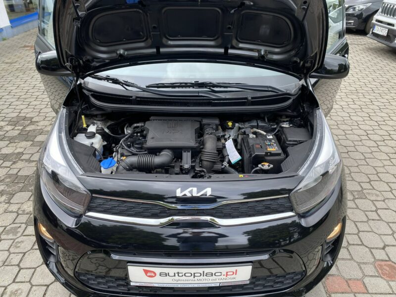 Kia Picanto Rezerwacja III (2017-)