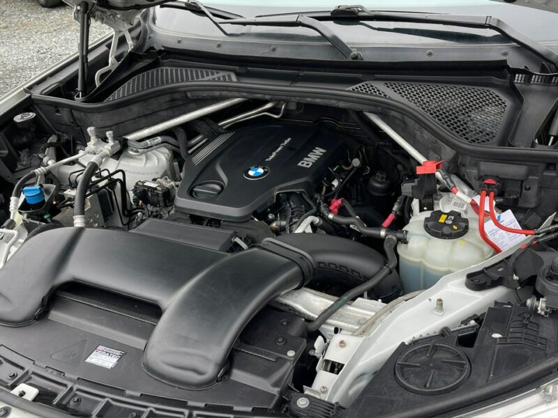 BMW X5 2.0 Diesel Moc 231KM Automat 4x4 M-Pakiet F15 (2013-)