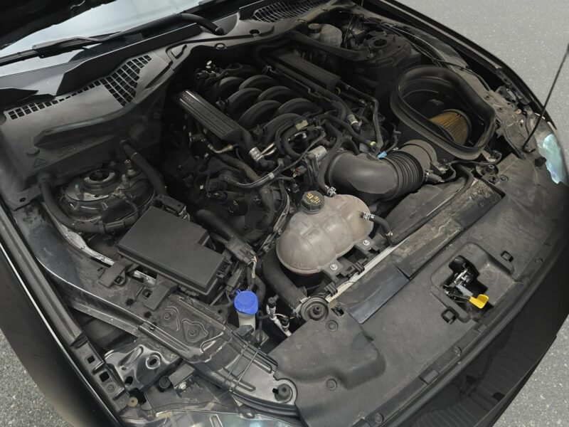 Ford Mustang VI (2014-)