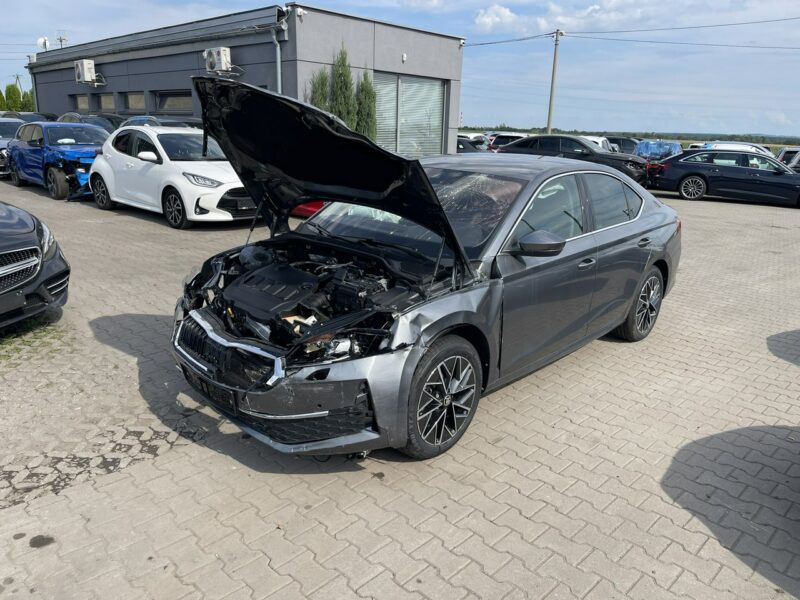 Škoda Octavia Virtual cockpit Podgrzewanie Skóra Kamera 150KM IV (2020-)