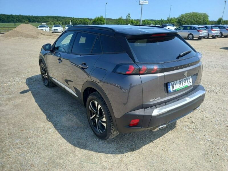 Peugeot 2008 II (2019-)
