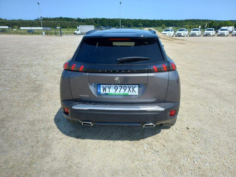 Peugeot 2008 II (2019-)