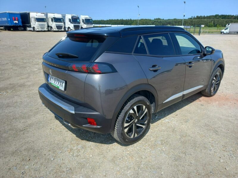 Peugeot 2008 II (2019-)