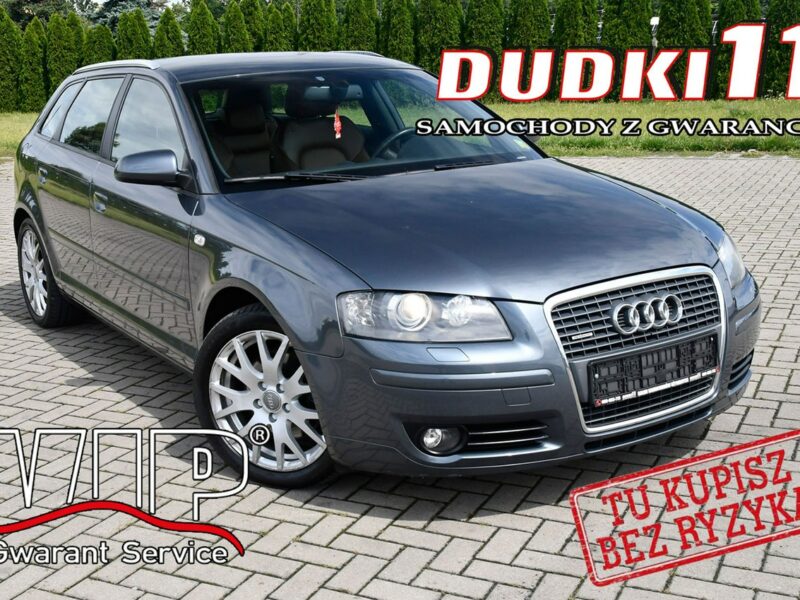 Audi A3 2,0Turbo Quattro!( 4x4 ) Serwis.Skóry.Podg.Fot.Tempomat.Xenony.BOSE 8P (2003-2012)