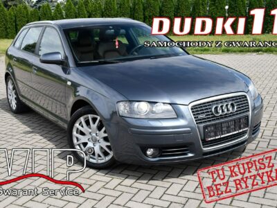 Audi A3 2,0Turbo Quattro!( 4x4 ) Serwis.Skóry.Podg.Fot.Tempomat.Xenony.BOSE 8P (2003-2012)