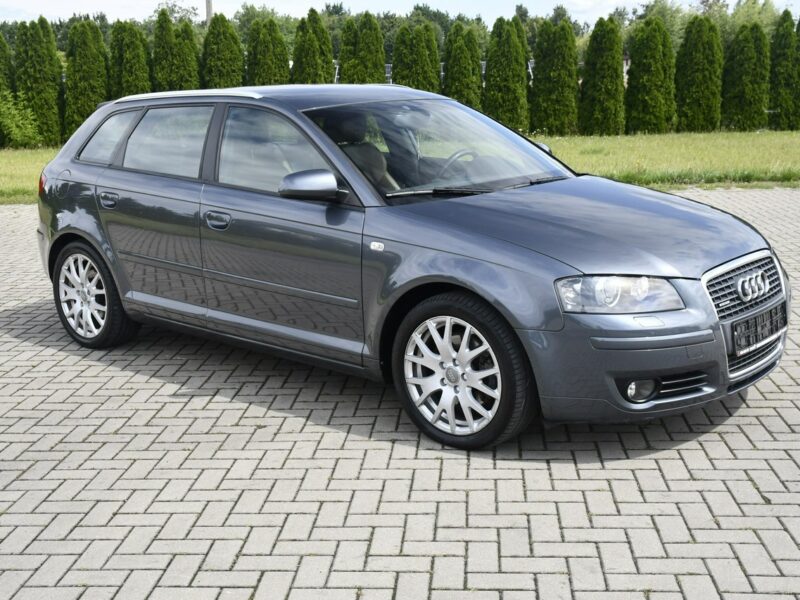 Audi A3 2,0Turbo Quattro!( 4x4 ) Serwis.Skóry.Podg.Fot.Tempomat.Xenony.BOSE 8P (2003-2012)