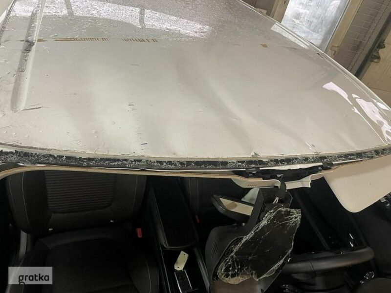 Renault Scenic RX4