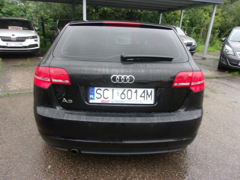 Audi A3 5 Drzwi PoLift 1.6 Mpi 102 Km Attraction Pod.Fotele Klimatyzacja Pdc 8P (2003-2012)