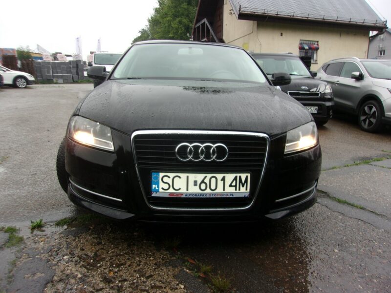 Audi A3 5 Drzwi PoLift 1.6 Mpi 102 Km Attraction Pod.Fotele Klimatyzacja Pdc 8P (2003-2012)