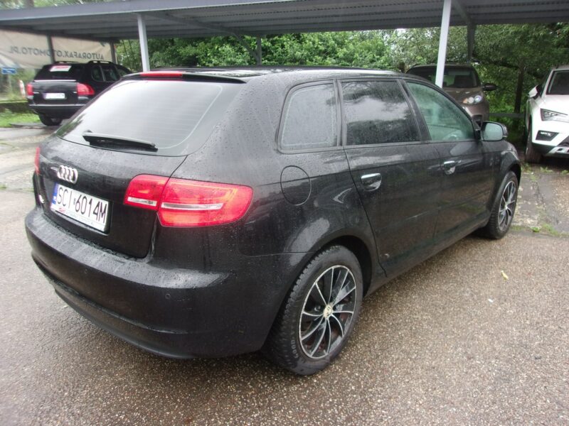 Audi A3 5 Drzwi PoLift 1.6 Mpi 102 Km Attraction Pod.Fotele Klimatyzacja Pdc 8P (2003-2012)