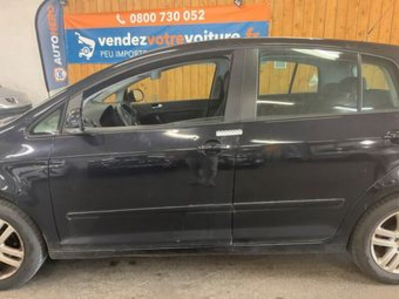 Volkswagen Golf Plus 1.6 Mpi 102 Km Comfortline Klimatronic Alu Pdc I (2004-2009)