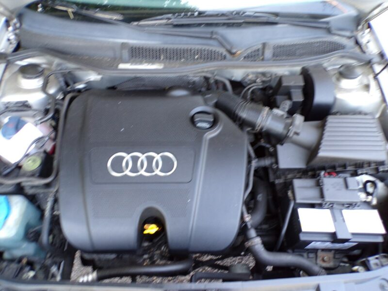 Audi A3 Klimatronic /Automat /1,6 /MPI /128000Km 8L (1996-2003)