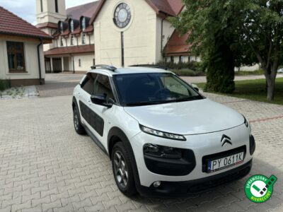 Citroen C4 Cactus Full Wypas I (2014-)