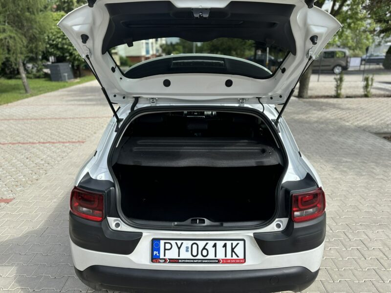 Citroen C4 Cactus Full Wypas I (2014-)