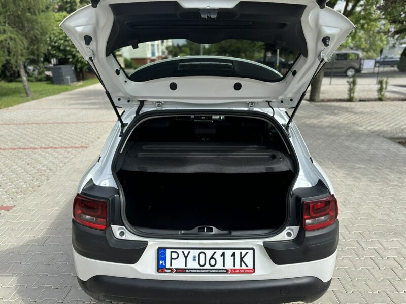 Citroen C4 Cactus Full Wypas I (2014-)