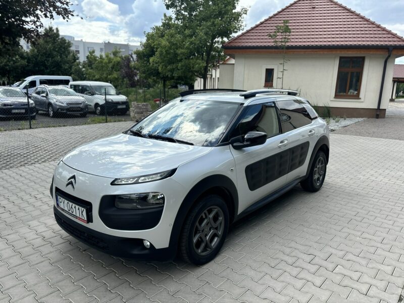 Citroen C4 Cactus Full Wypas I (2014-)
