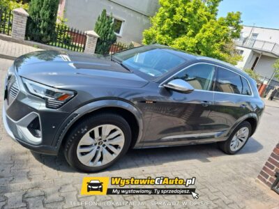 Audi e-tron Telefon: 722_045_532 Lokalizacja: Skwierzyna