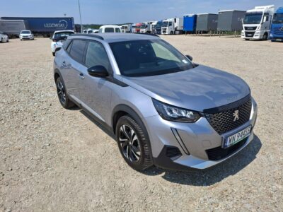 Peugeot 2008 II (2019-)