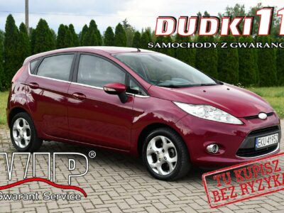 Ford Fiesta 1,25benz DUDKI11,klimatronic,Zarej,GrzanaPrzedniaSzyba, Mk6 (2002-2008)