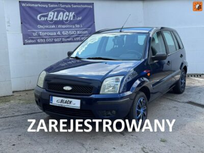 Ford Fusion Bezwypadkowy