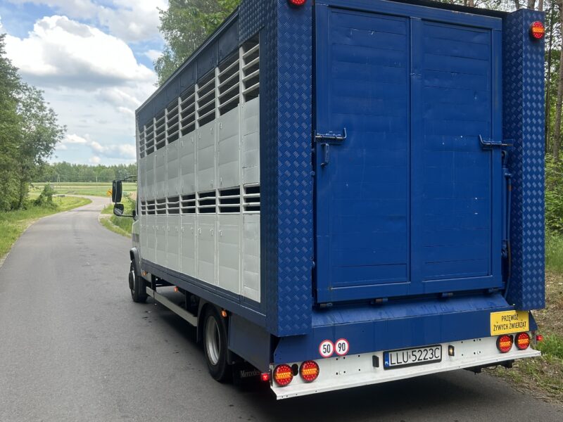 Mercedes-Benz Vario 815 do przewozu zwierząt, żywcówka