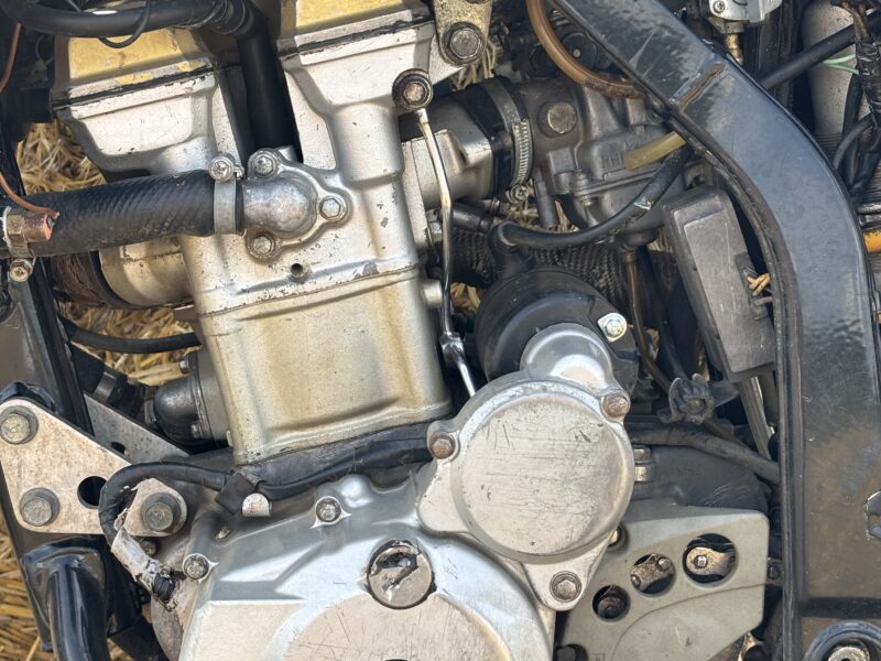 Kawasaki klx 300