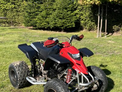 Yamaha blaster 200