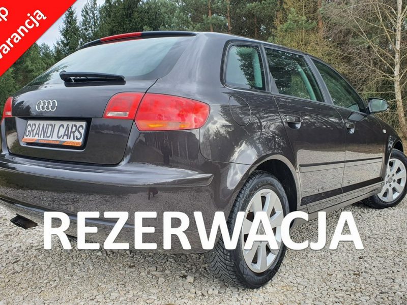 Audi A3 1.9 TDI 105KM # Sportback # Climatronic # Serwisowana # Piękny Kolor ! 8P (2003-2012)