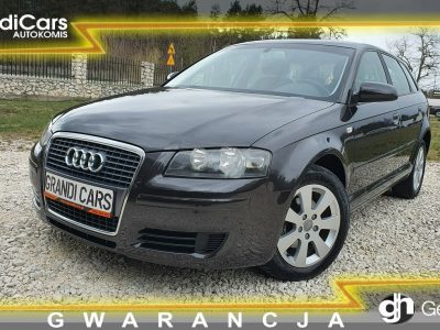 Audi A3 1.9 TDI 105KM # Sportback # Climatronic # Serwisowana # Piękny Kolor ! 8P (2003-2012)