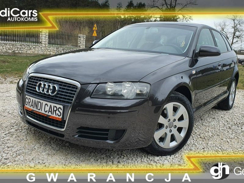 Audi A3 1.9 TDI 105KM # Sportback # Climatronic # Serwisowana # Piękny Kolor ! 8P (2003-2012)