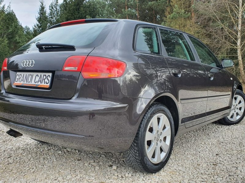 Audi A3 1.9 TDI 105KM # Sportback # Climatronic # Serwisowana # Piękny Kolor ! 8P (2003-2012)