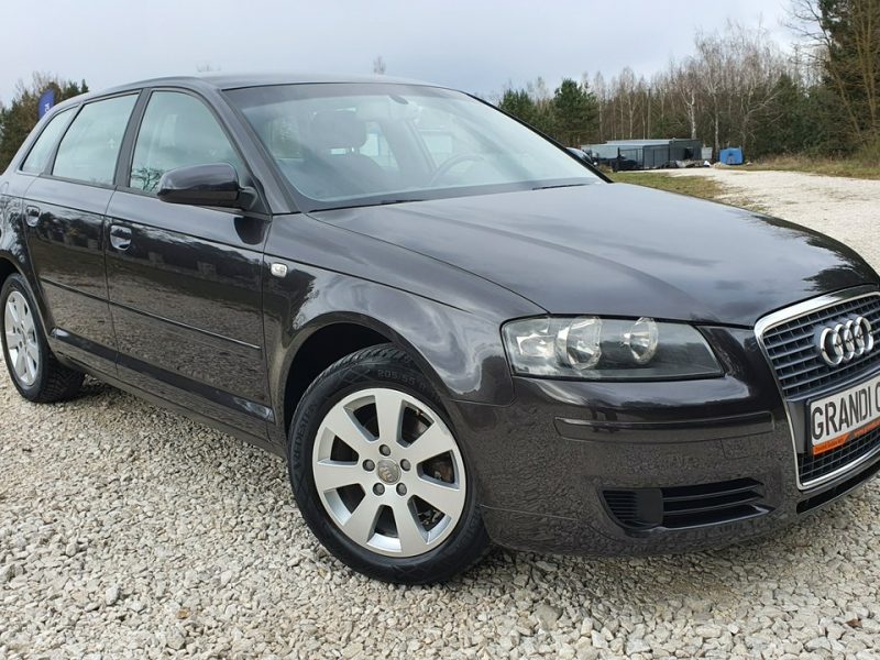 Audi A3 1.9 TDI 105KM # Sportback # Climatronic # Serwisowana # Piękny Kolor ! 8P (2003-2012)